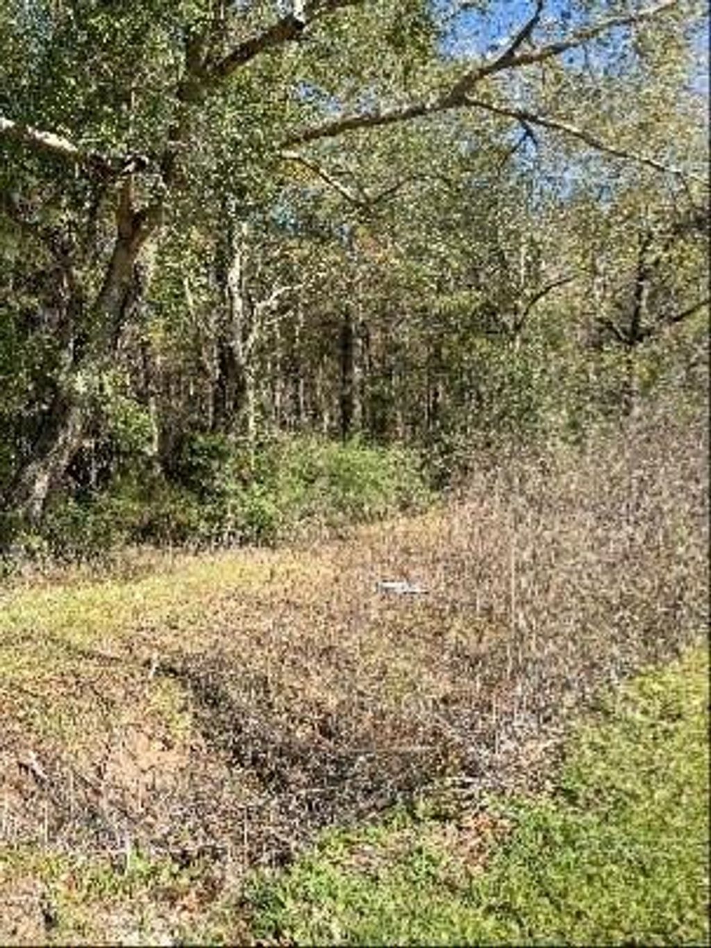 Photo of 0 Bell Road, Batson, TX 77519 (MLS # 85442723)