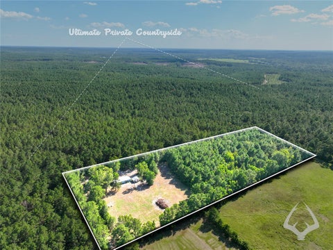 Photo of 1698 County Road 2975, Colmesneil, TX 75938 (MLS # 53841921)