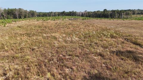 Photo of 3 Young Road, Livingston, TX 77351 (MLS # 40471453) Photo of 3 Young Road, Livingston, TX 77351 (MLS # 40471453)