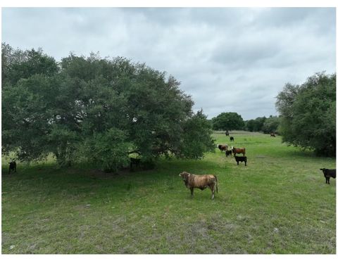 Lot 2 TBD 2 County Road 127 Road Ledbetter TX 78946