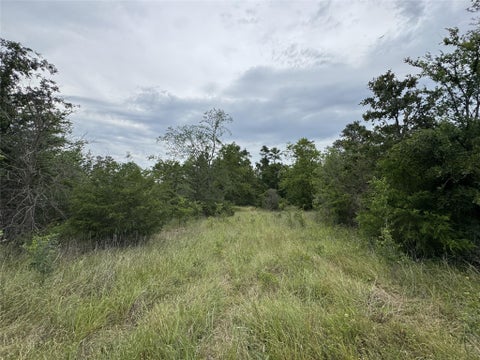 Vacant Land For Sale - T2 Round Prairie Road<br/> Walker County, Huntsville, TX 77320
