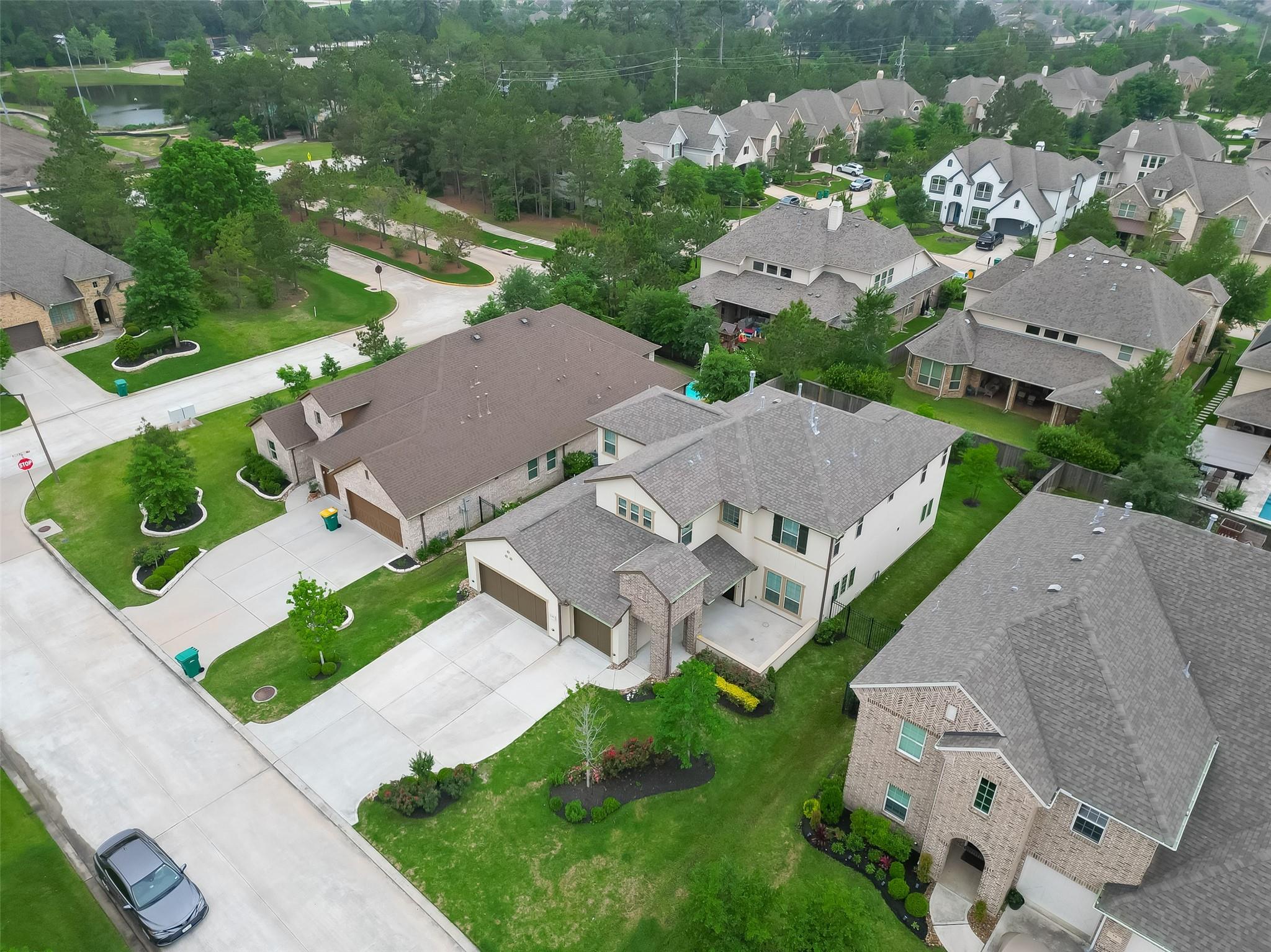 58 Canopy Green
