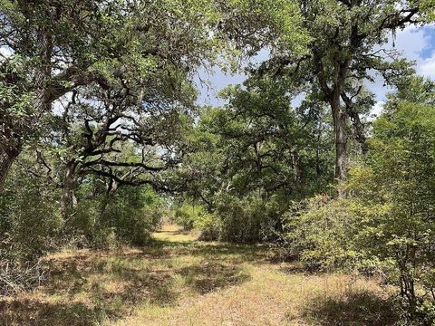 Photo of 0 Private Road 1581 Road, Hallettsville, TX 77964 (MLS # 48674270)