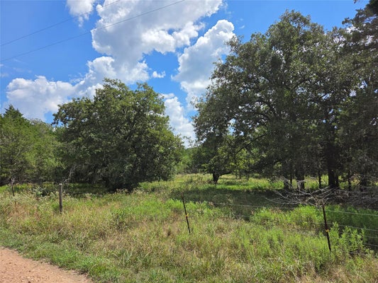 BLUE BIRD LN, COLUMBUS, TX 78934 - Image f756f338621f1efcfbcd8451c1ee6dd2/199762978