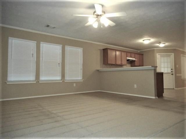 10410 Scenic Vista Drive
