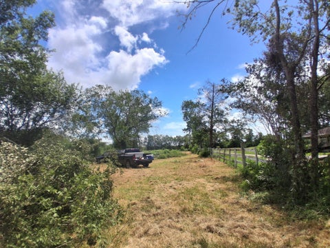 Vacant Land For Sale - 1016 Cr-7<br/> Damon, TX 77430