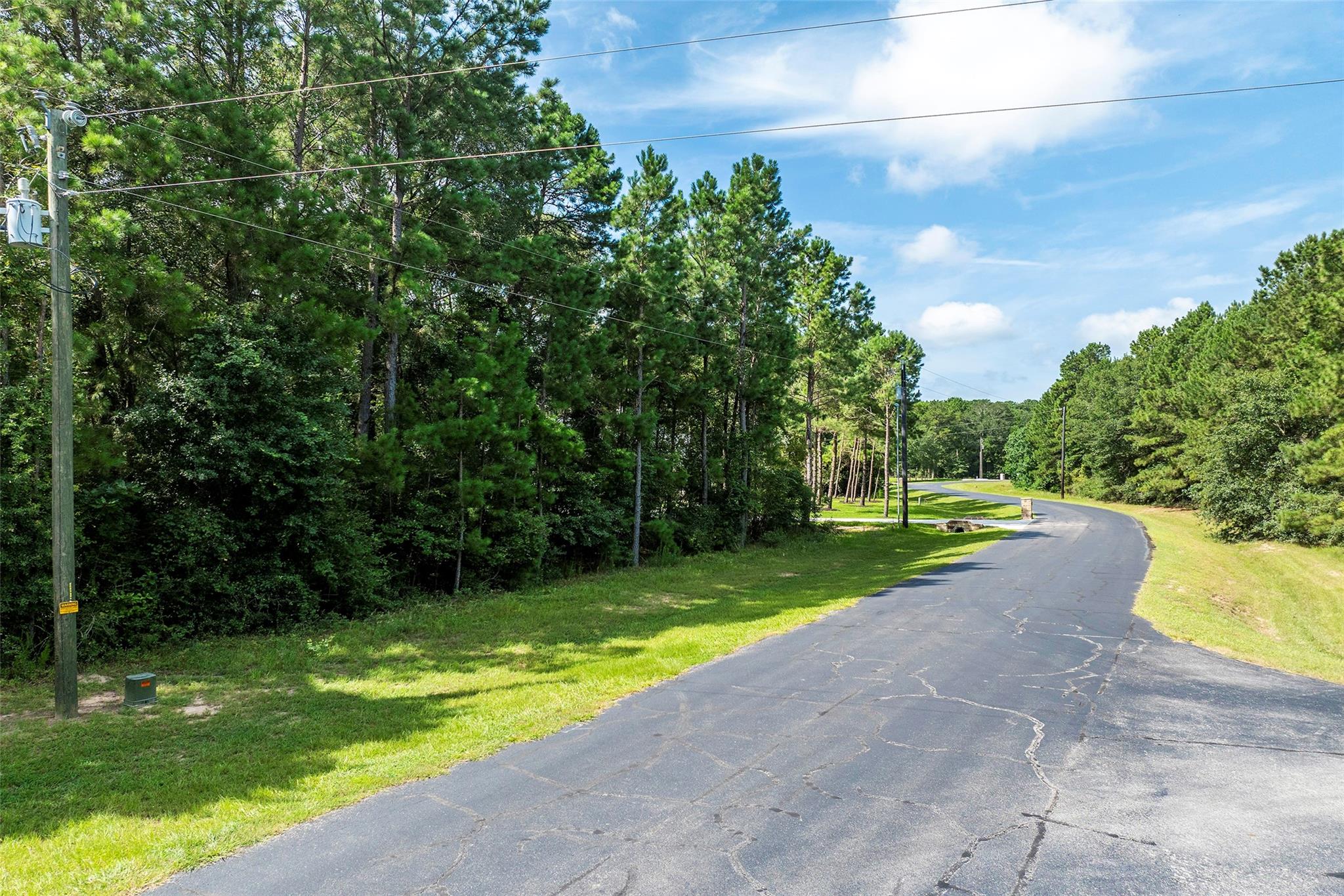 27140 Saddlehorn Drive