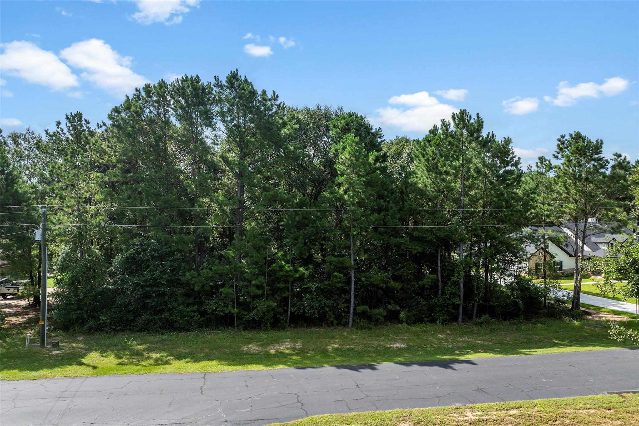 27140 Saddlehorn Drive