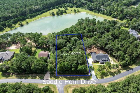 Photo of 27140 Saddlehorn Drive, Waller, TX 77484 (MLS # 10907237)