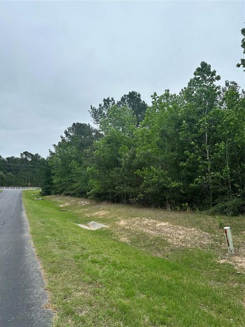 Photo of 28117 Horse Shoe Lane Lane, Waller, TX 77484 (MLS # 61858486)
