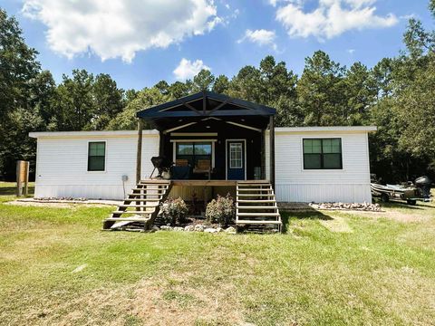 Photo of 445 Cr 4309, Hillister, TX 77624 (MLS # 42316210)