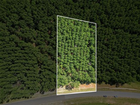 15831 Ridge Oak Road Willis TX 77378