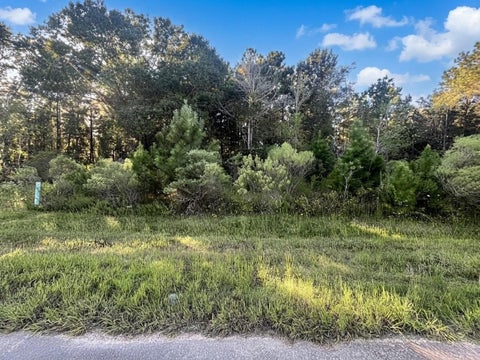 Photo of 154 Road 5268, Cleveland, TX 77327 (MLS # 33180971)