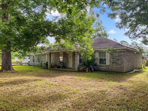Photo of 1015 Mitchell Street, Sour Lake, TX 77659 (MLS # 43595333)