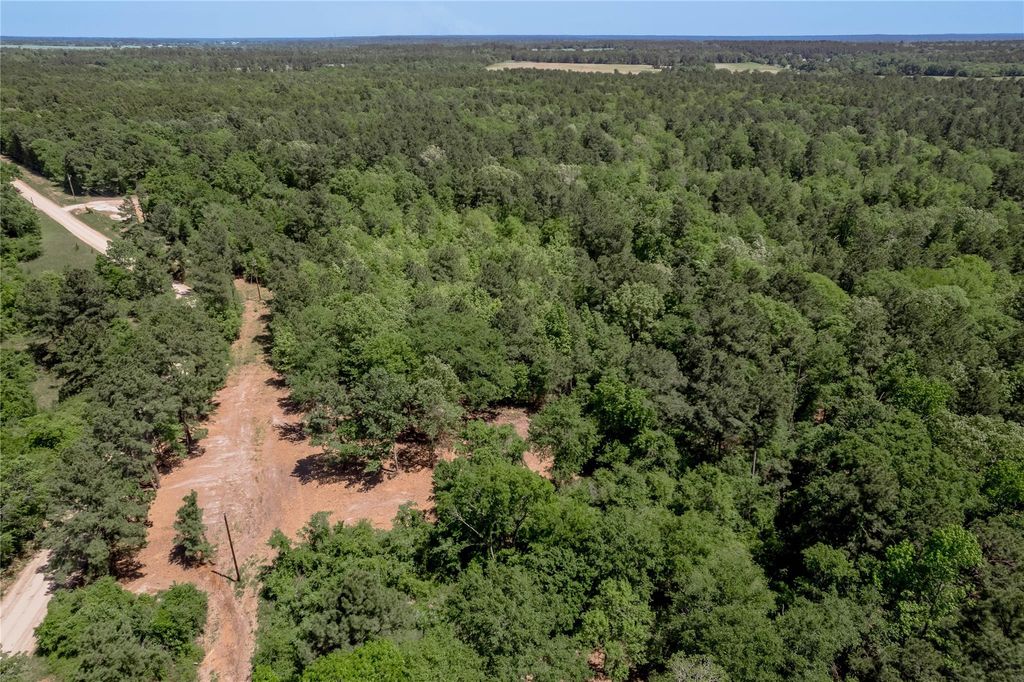 Photo of 6077 Cr 4200, Pennington, TX 75856 (MLS # 48980402)