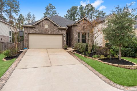 171 Silva Creek Trail Willis TX 77318