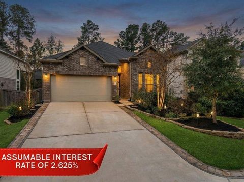 171 Silva Creek Trail Willis TX 77318