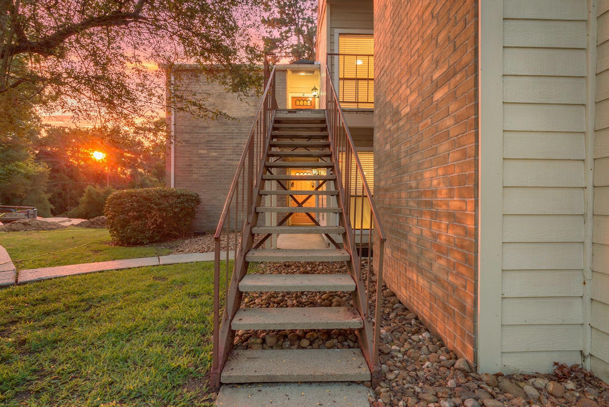 3500 Tangle Brush Drive 6