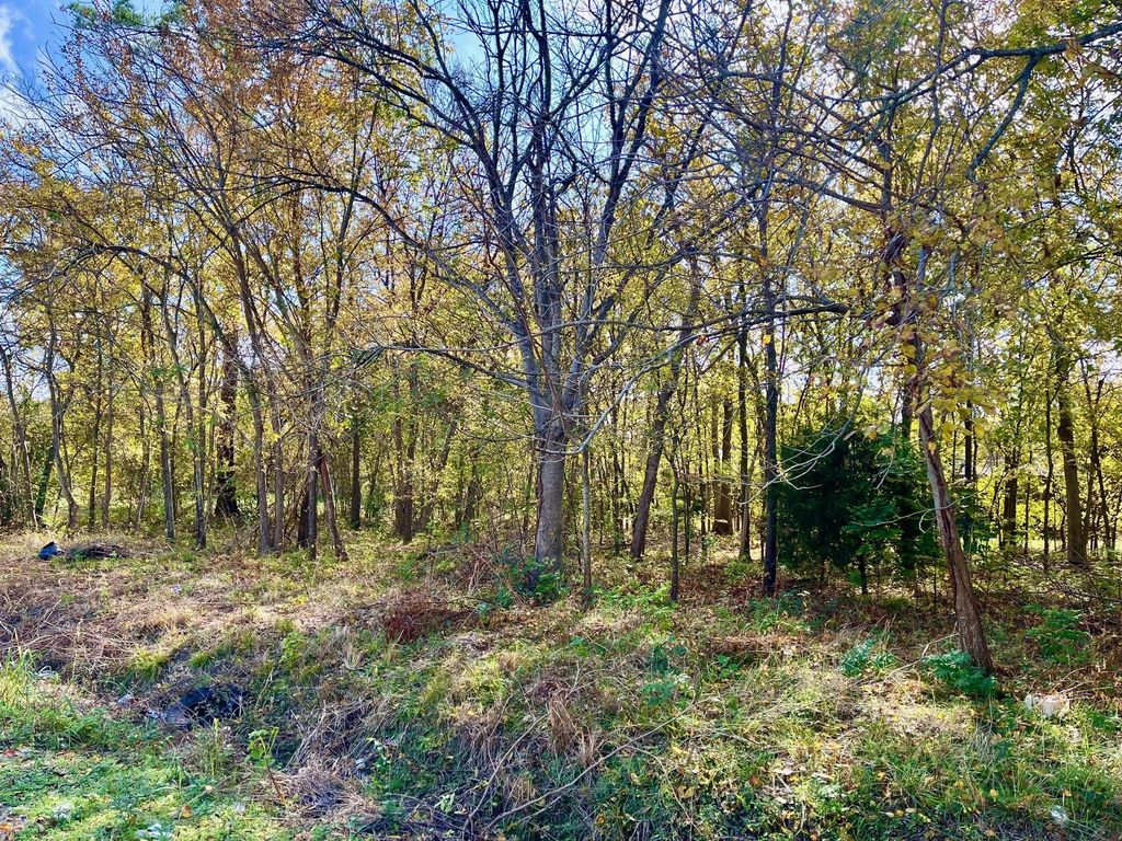 Photo of 0 Leago Street, Houston, TX 77022 (MLS # 29860079)