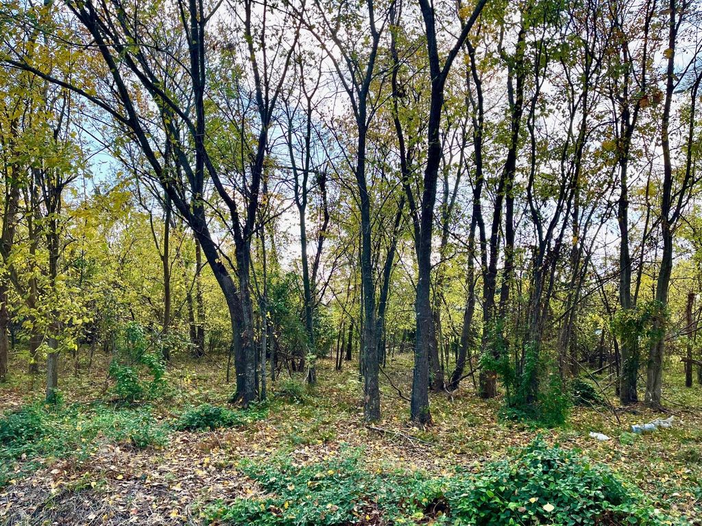 Photo of 0 Leago Street, Houston, TX 77022 (MLS # 29860079)