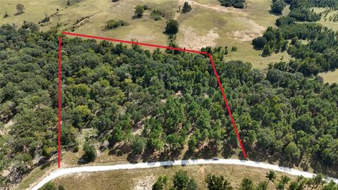 Photo of TBD Cherokee Trail, Lovelady, TX 77851 (MLS # 20422529) Photo of TBD Cherokee Trail, Lovelady, TX 77851 (MLS # 20422529)