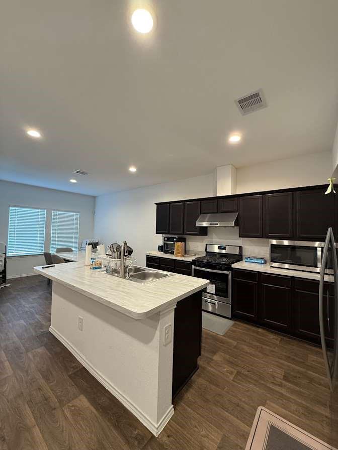 21202 Frosted Fern Lane