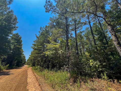 Vacant Land For Sale - 3 County Road 3230<br/> Tyler County, Colmesneil, TX 75938