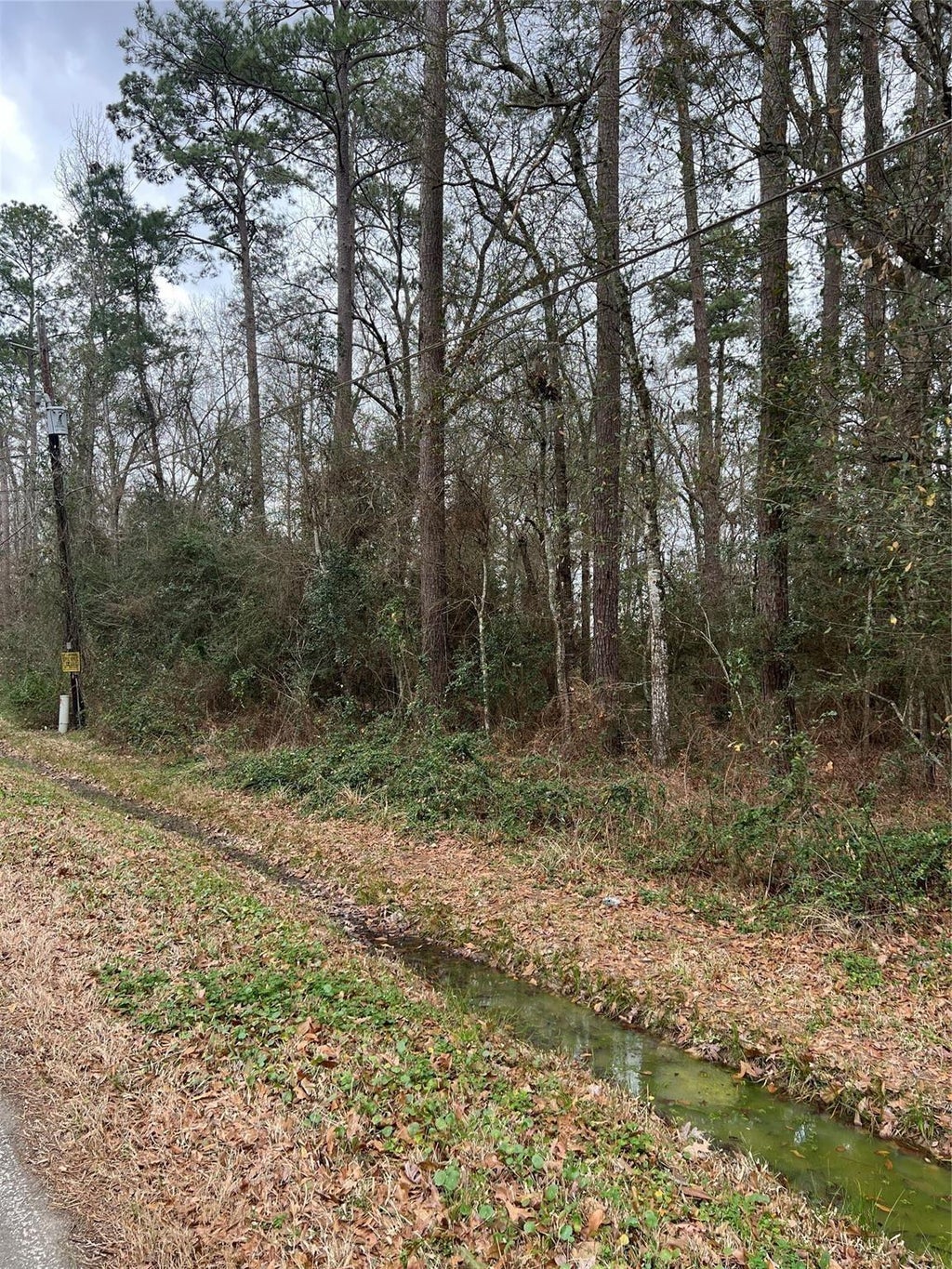 Photo of 0 Meyer Road, Huffman, TX 77336 (MLS # 13731033)