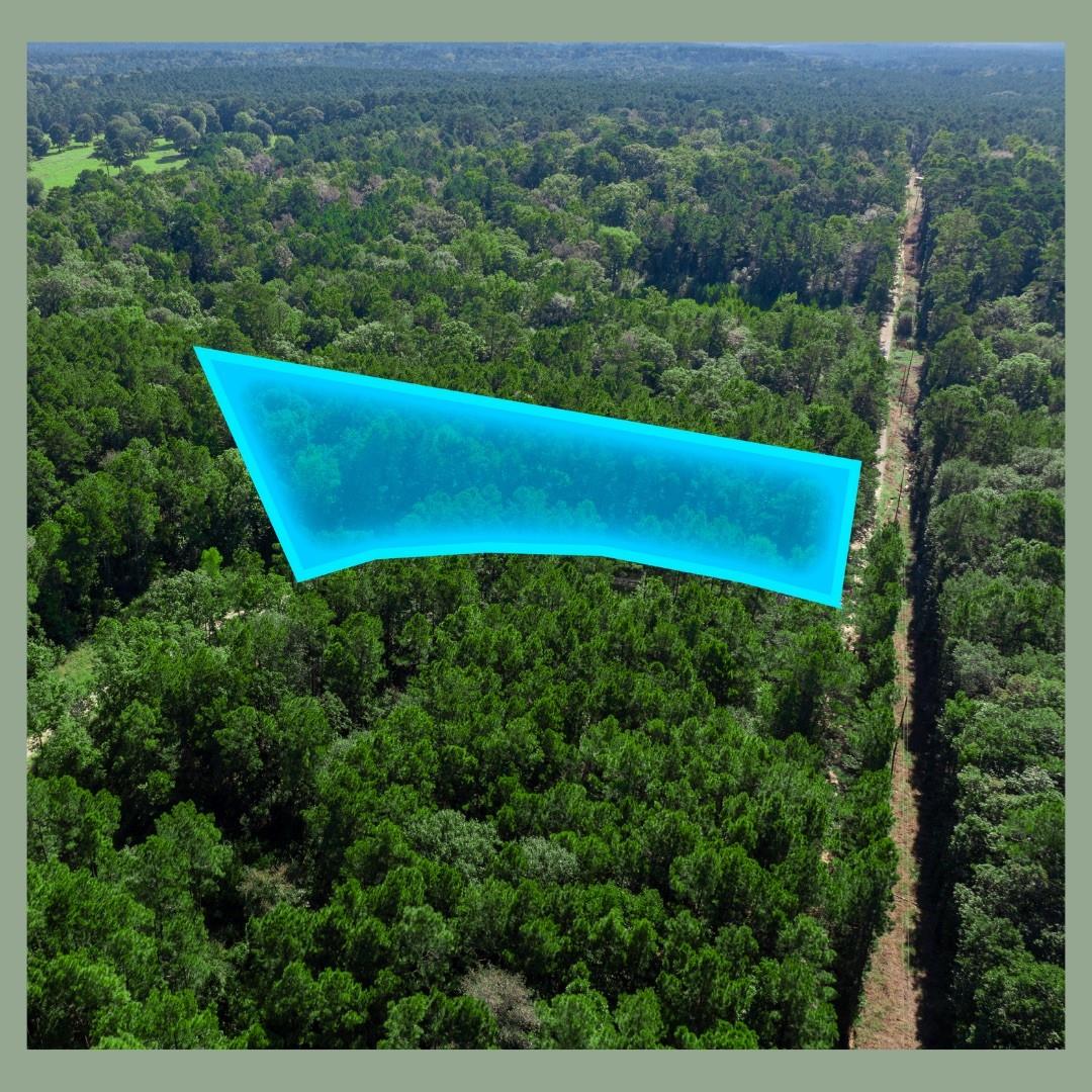 Lots 72, 73, 74 Sweetgum Lane