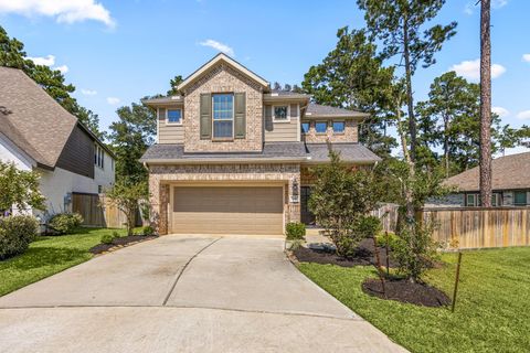 606 Pecan Hickory Court Willis TX 77318