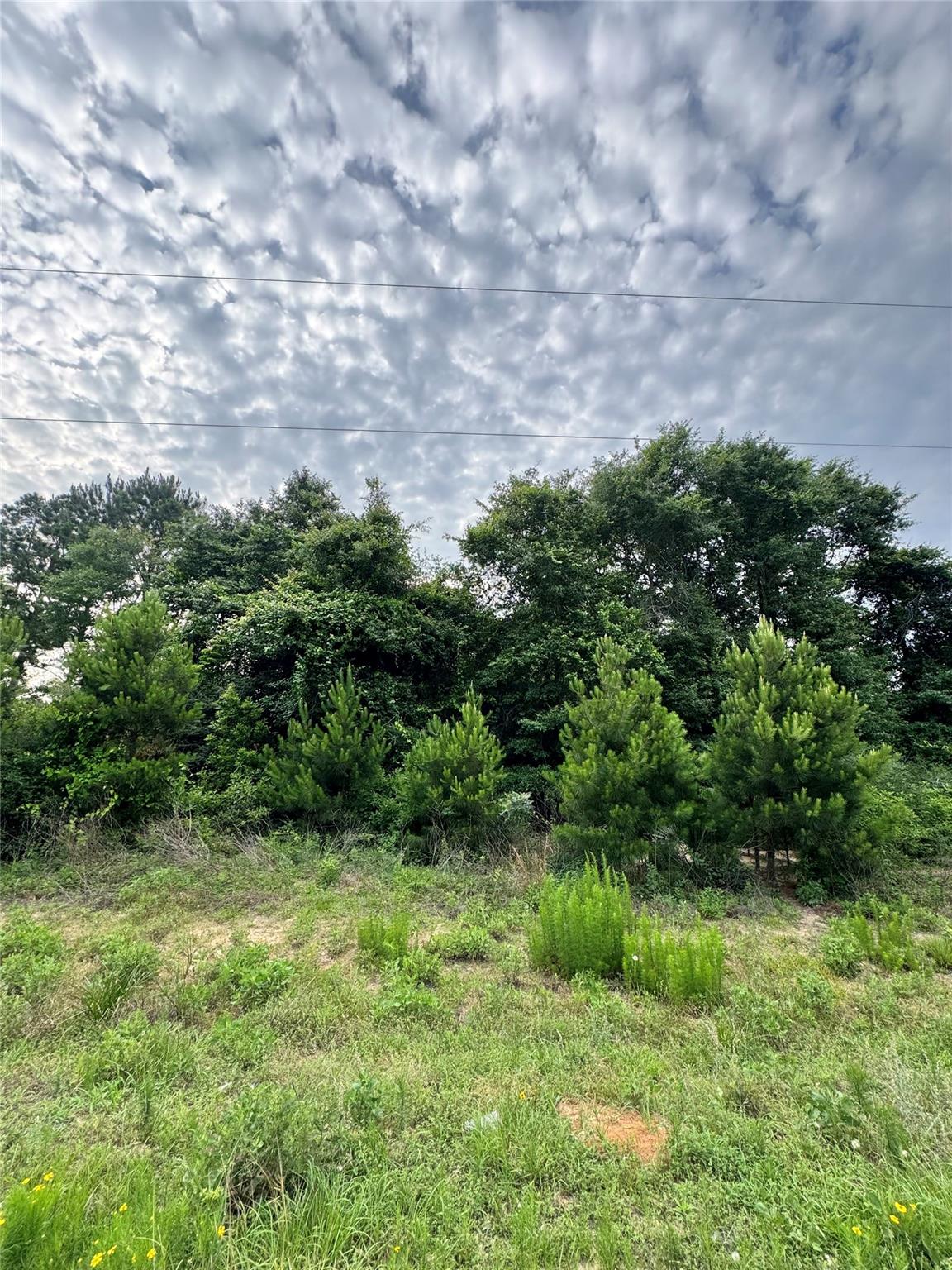 476 County Road 3773