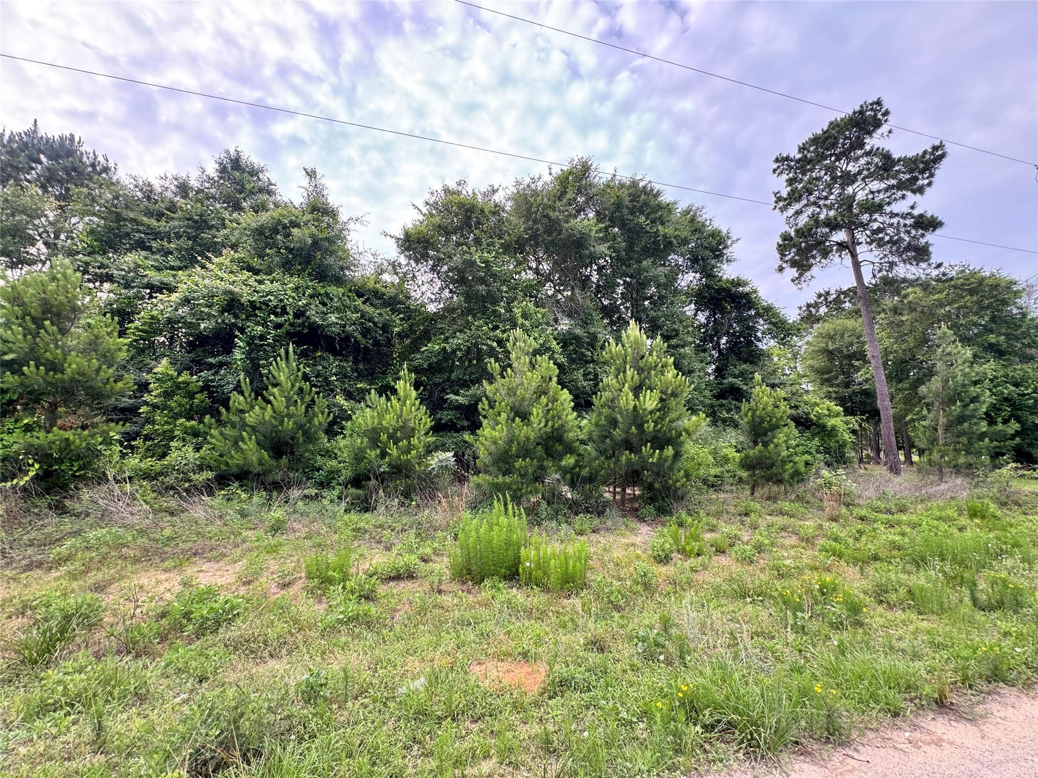 476 County Road 3773