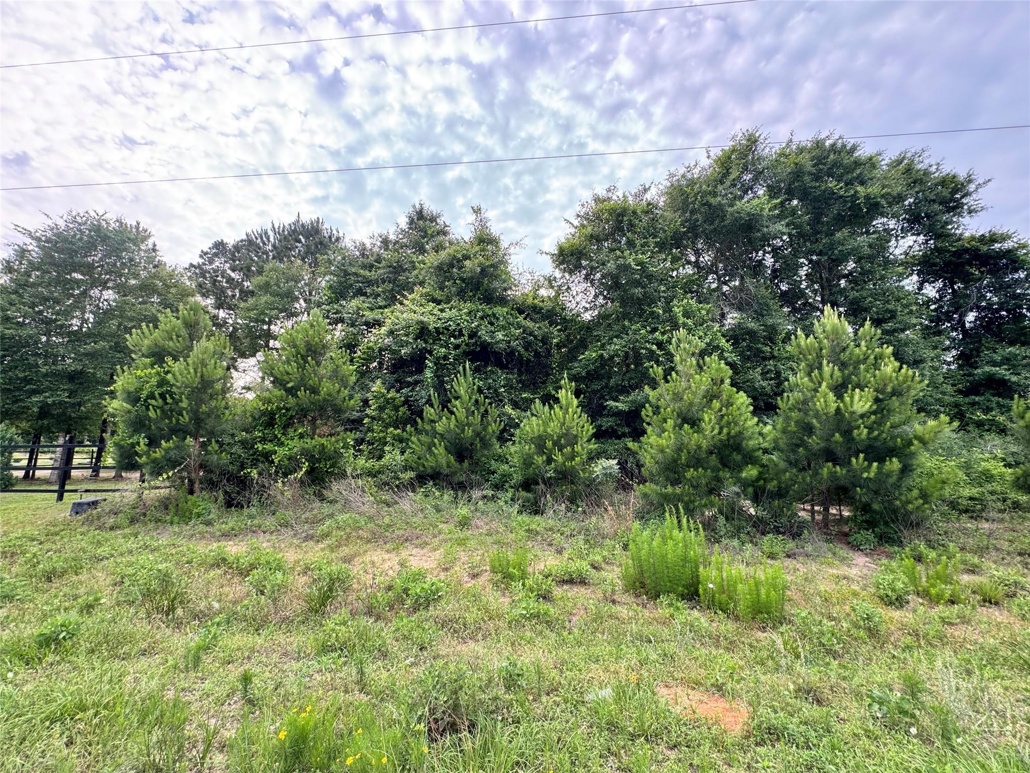476 County Road 3773