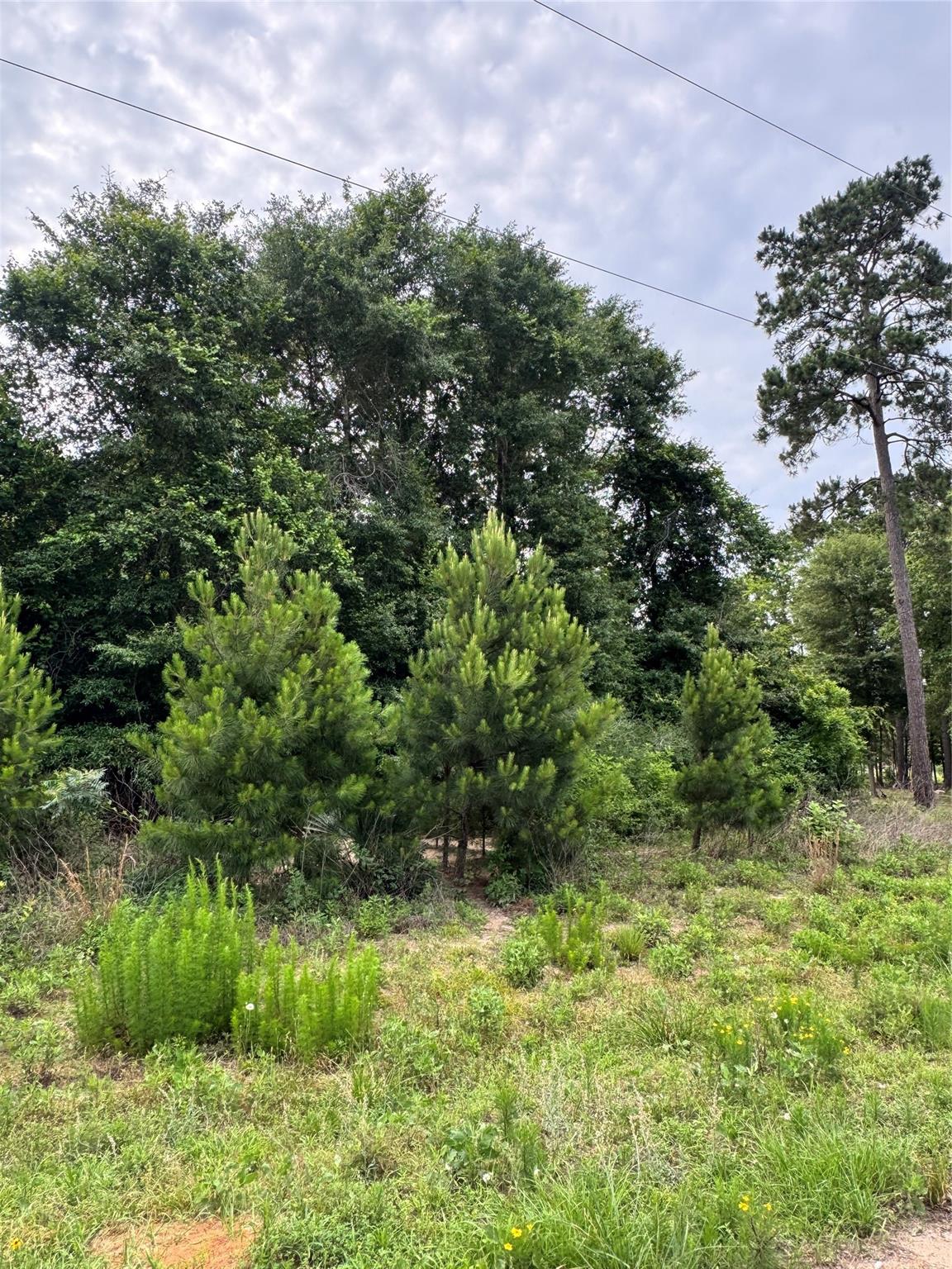 476 County Road 3773