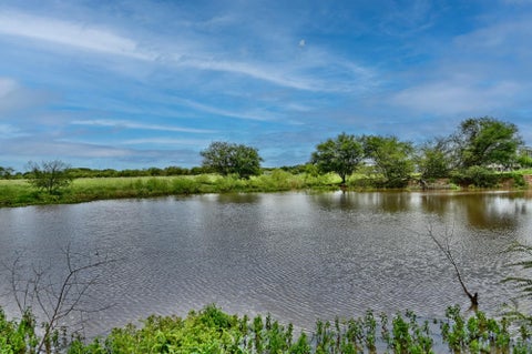 Vacant Land For Sale - 00 Lisa Mae Road<br/> Bellville, TX 77418