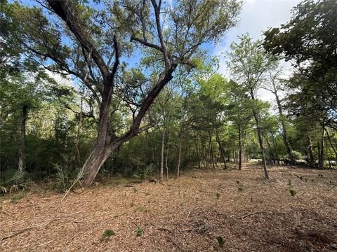 1 Cr 289 Sweeny TX 77480