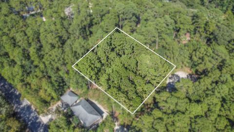 Photo of 14 Victoria Court, Coldspring, TX 77331 (MLS # 8171403)