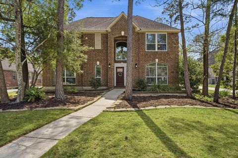 23 Sparklewood Place The Woodlands TX 77381