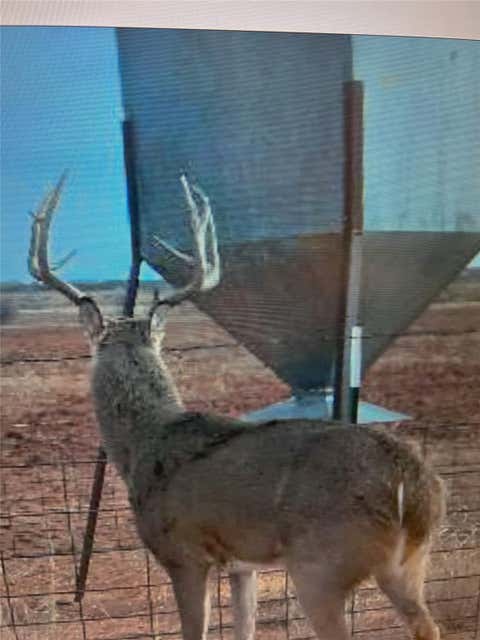 Vacant Land For Sale - NKA Buckle L Rd<br/> Childress County, Childress, TX 79201