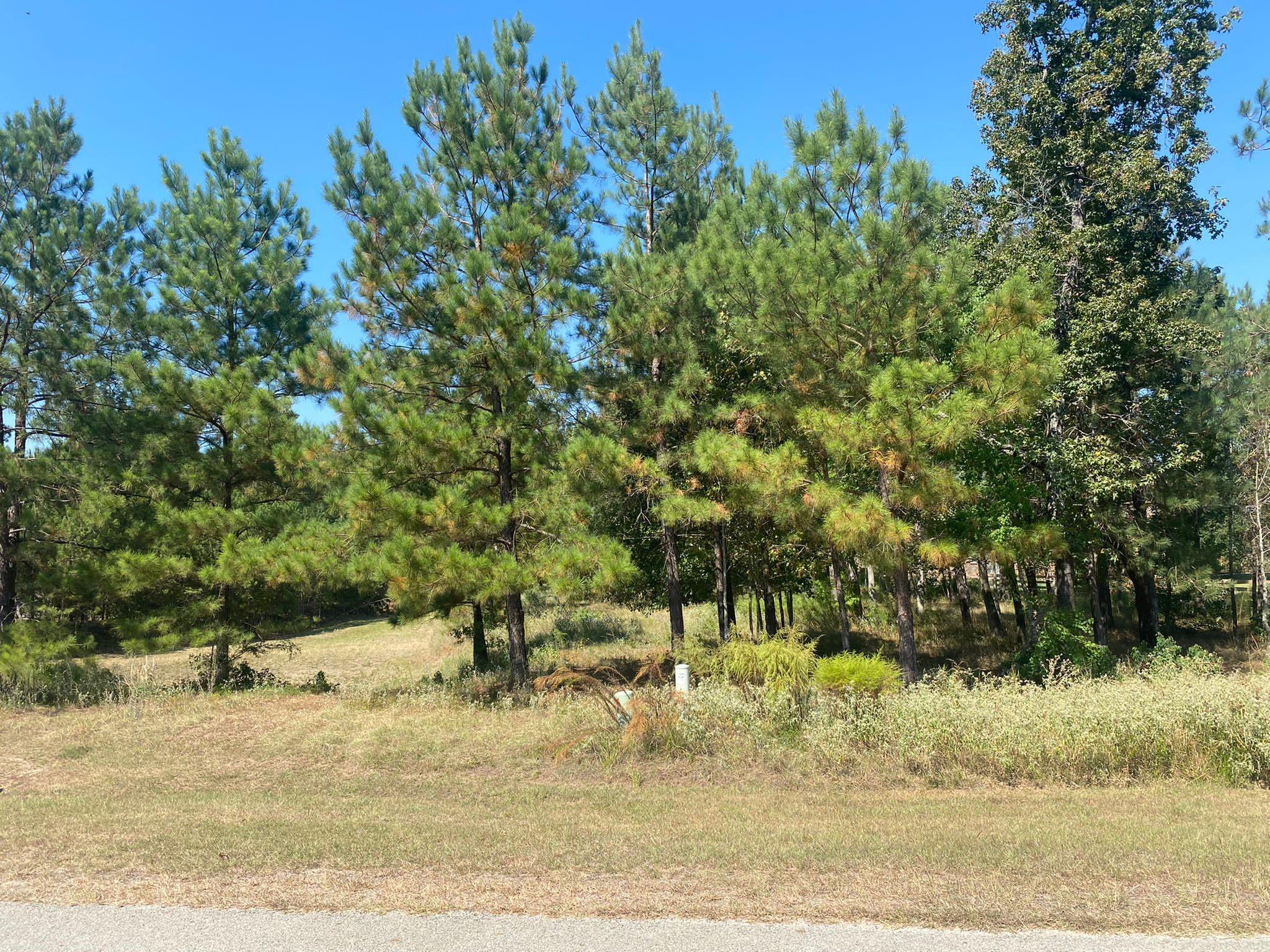 393 Ridge Lake Scenic Drive