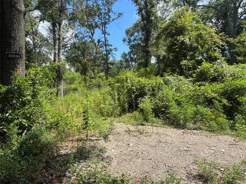 Photo of 26059 E Christine Drive, Splendora, TX 77372 (MLS # 20402987)