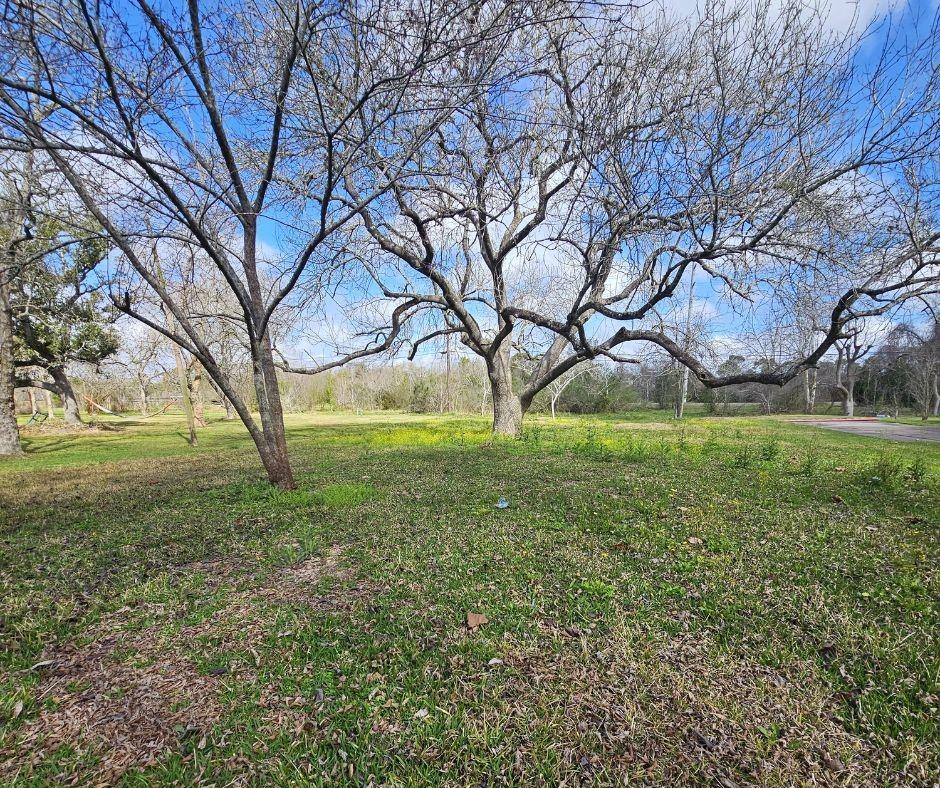 Beautiful mature trees, great space for a new home built.