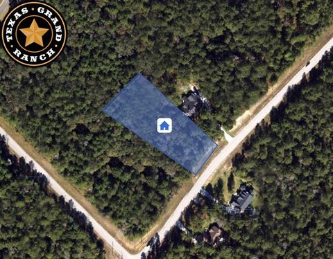 Vacant Land For Sale - 5-6-230 Dipping Vat Road<br/> Huntsville, TX 77340