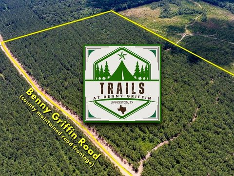 Photo of 4 Benny Griffin Rd, Dallardsville, TX 77351 (MLS # 73287679)