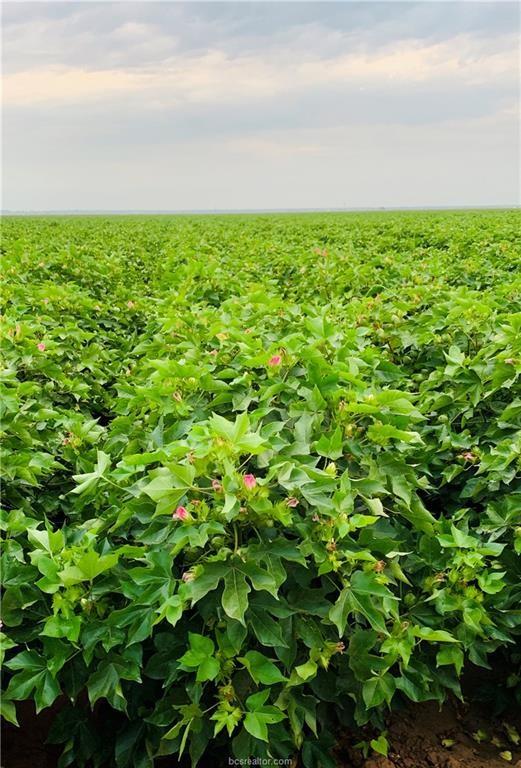 12485 Sandy Point Road