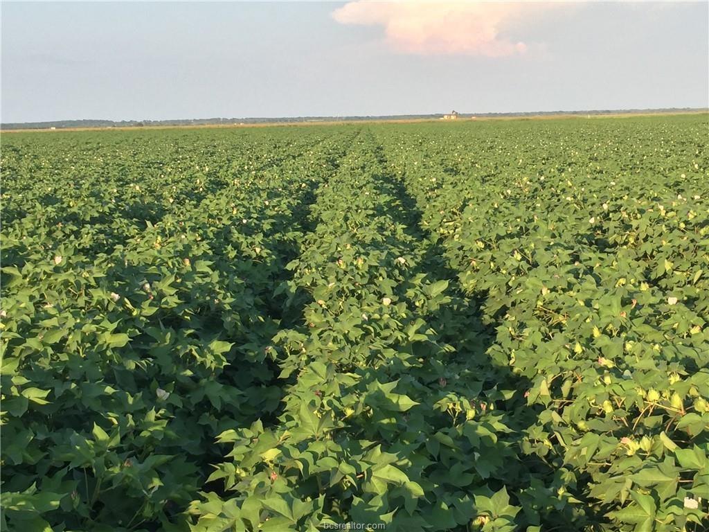 12485 Sandy Point Road