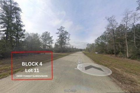Photo of 305 Iron Horse Road, Willis, TX 77378 (MLS # 58667236)