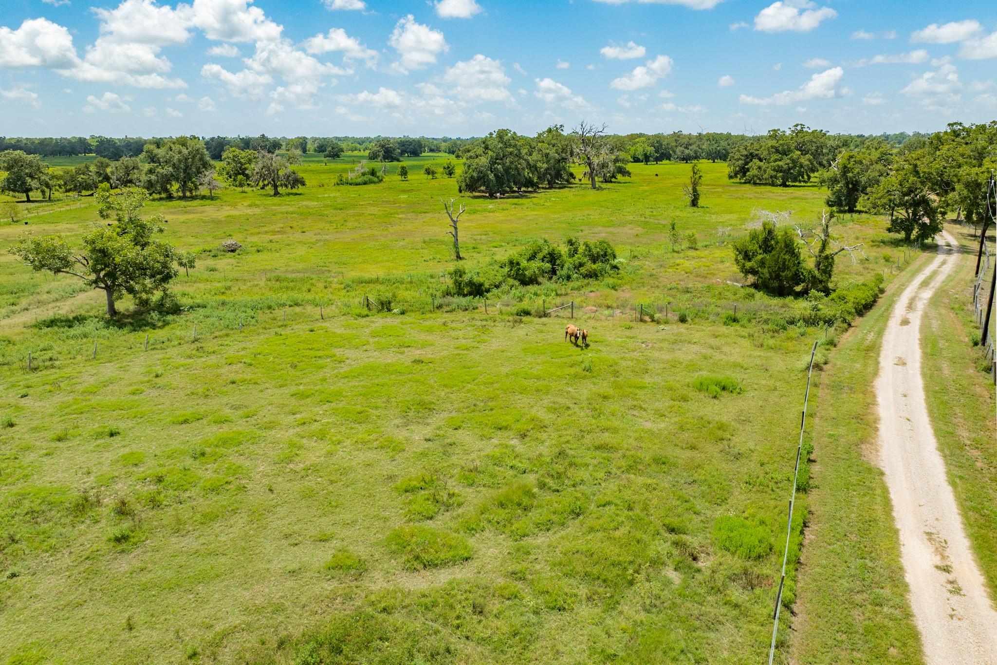 438 County Road 164