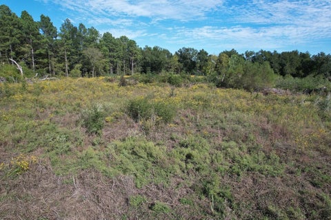 Photo of 1184 S Fairway Street, Fairfield, TX 75840 (MLS # 51723948)