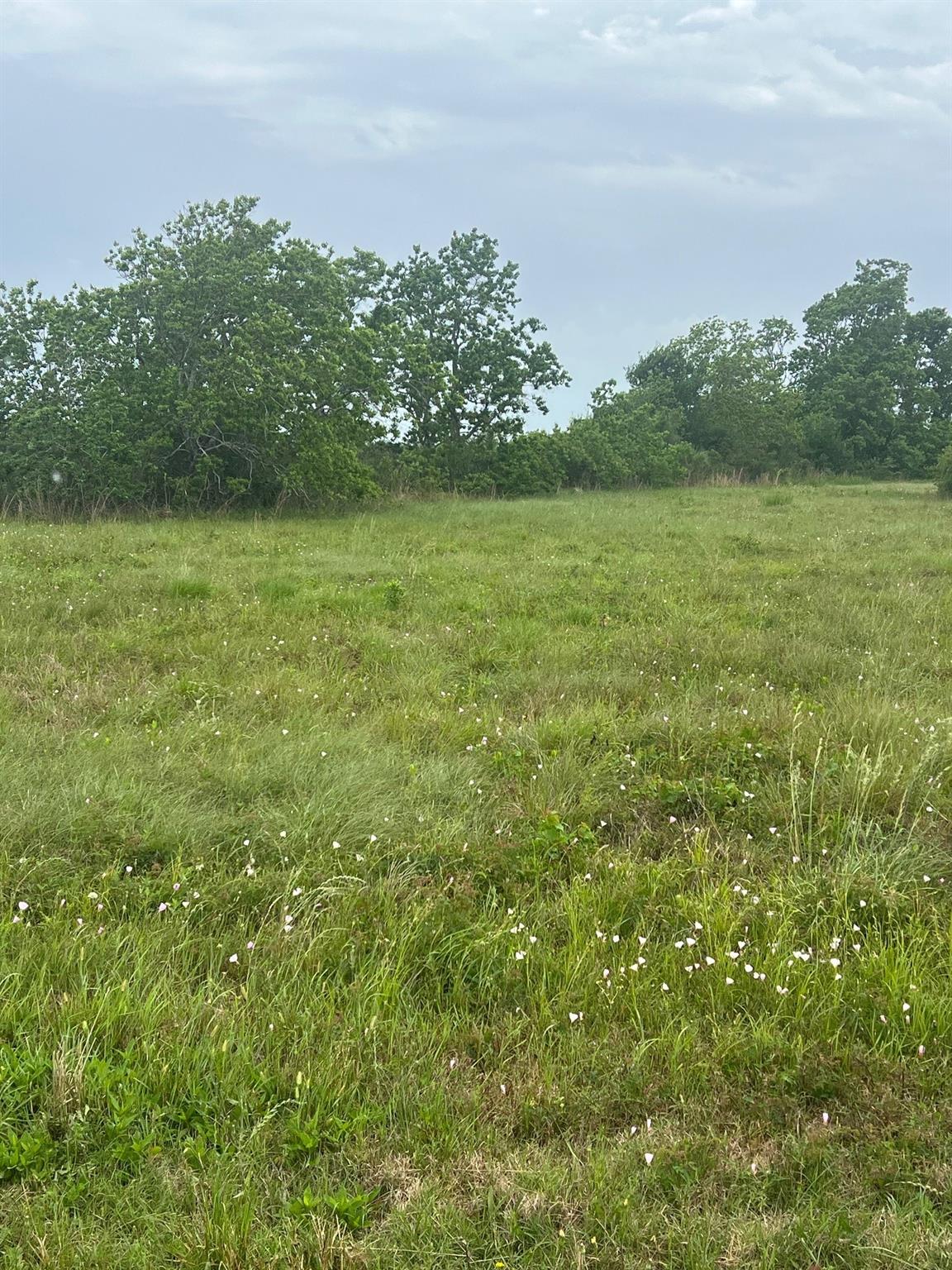 6180 County Road 208